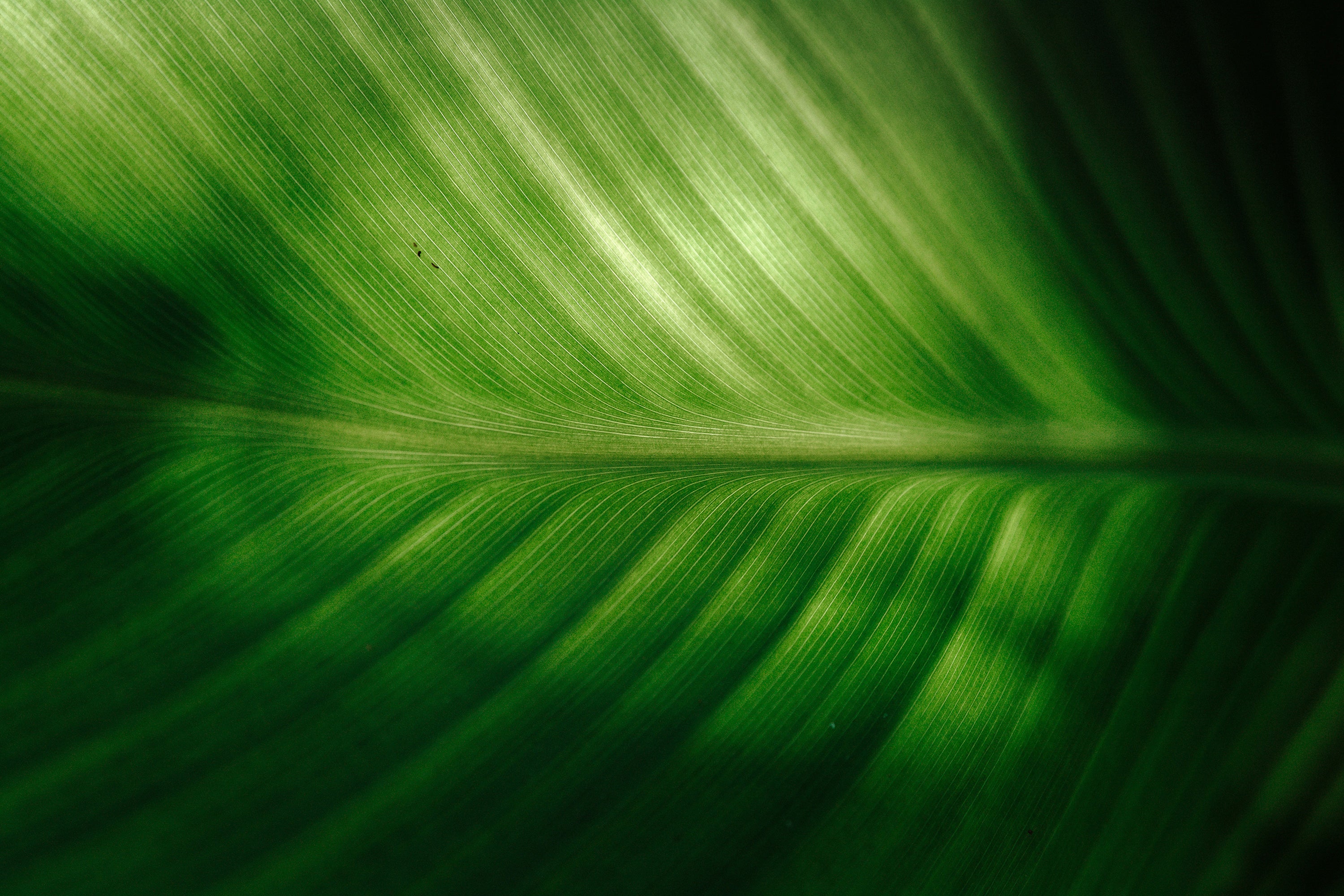 andreea-popa-z7CyPm9uKmA-unsplash1.jpg