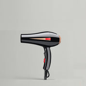 Diamond Professional-Dryer